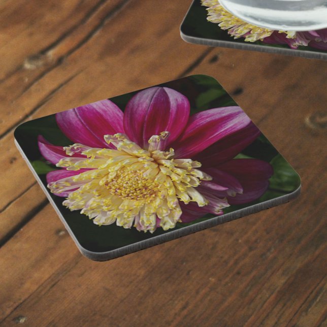 Pink Anemone Dahlia Bloom Floral Beverage Coaster (In Situ)