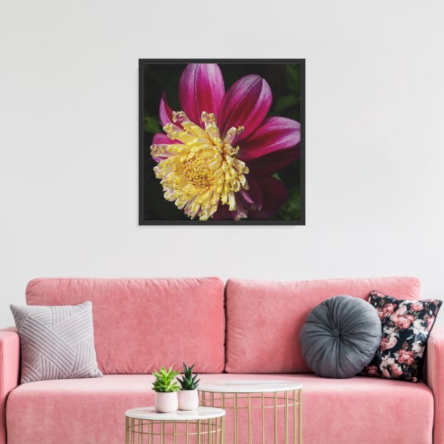 Pink Anemone Dahlia Bloom Floral Canvas Print (Insitu(LivingRoom))