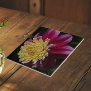 Pink Anemone Dahlia Bloom Floral Ceramic Tile