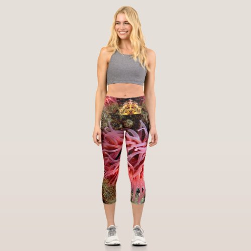 Pink Anemone High Waisted Capris