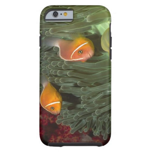 Pink Anemonefish in Magnificant Sea Anemone Tough iPhone 6 Case