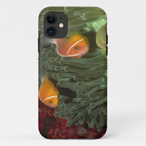 Pink Anemonefish in Magnificant Sea Anemone iPhone 11 Case