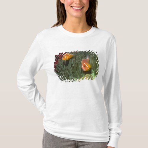 Pink Anemonefish in Magnificant Sea Anemone T_Shirt