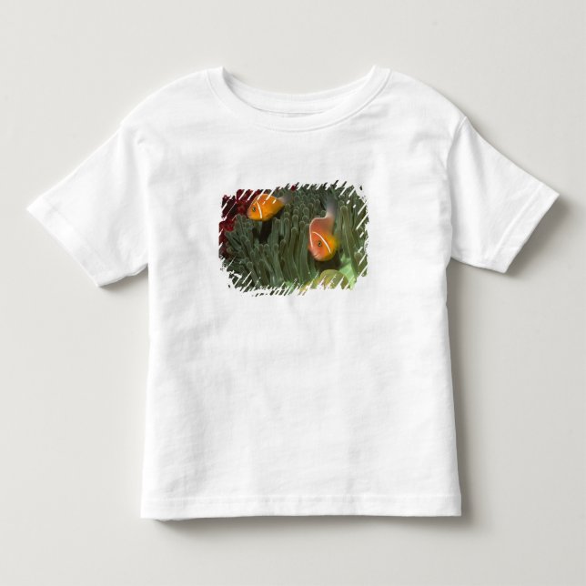 Pink Anemonefish in Magnificant Sea Anemone Toddler T-shirt (Front)
