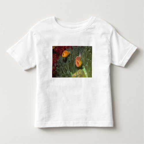 Pink Anemonefish in Magnificant Sea Anemone Toddler T_shirt