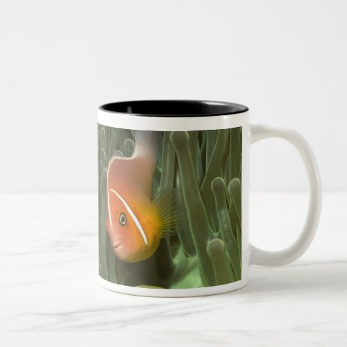 Pink Anemonefish in Magnificant Sea Anemone Two_Tone Coffee Mug