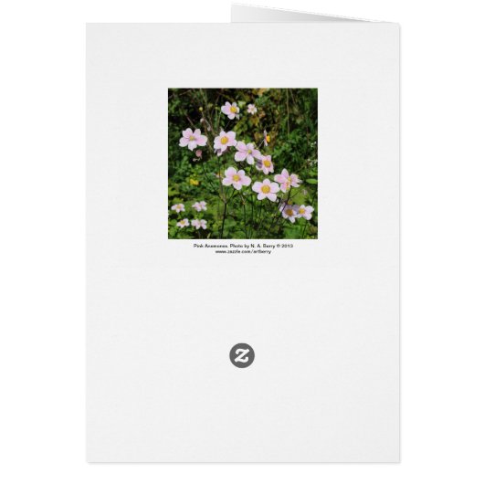 Pink Anemones (Back)