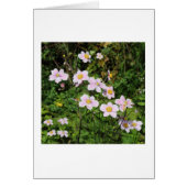 Pink Anemones (Front)