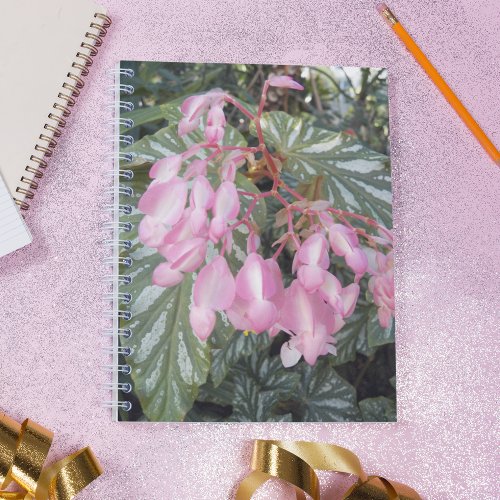 Pink Angel Wing Begonia Floral Notebook