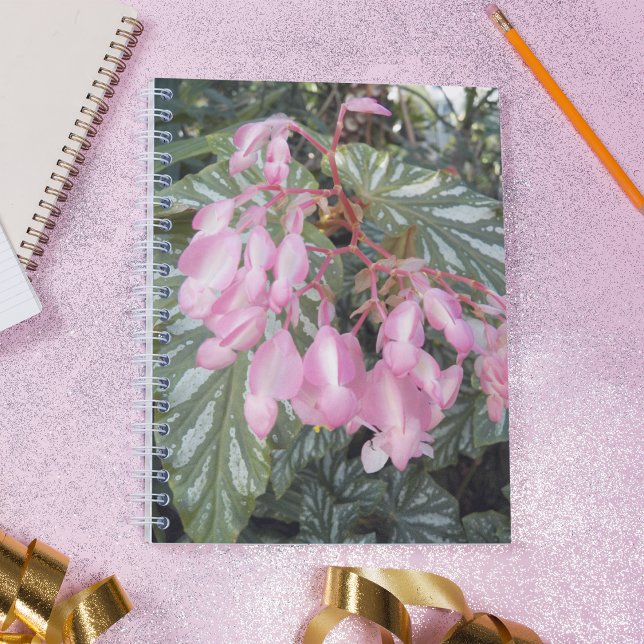 Pink Angel Wing Begonia Floral Notebook (In Situ)