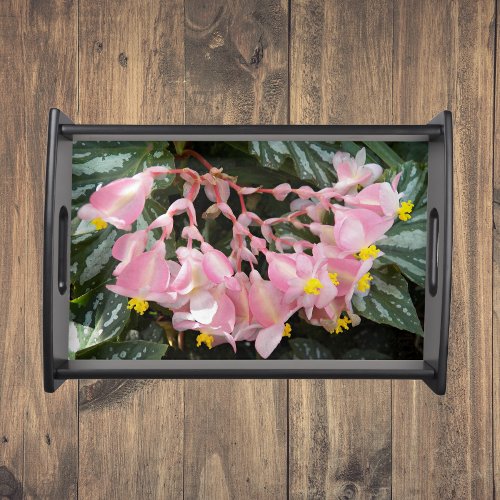 Pink Angel Wing Begonia Floral Serving Tray