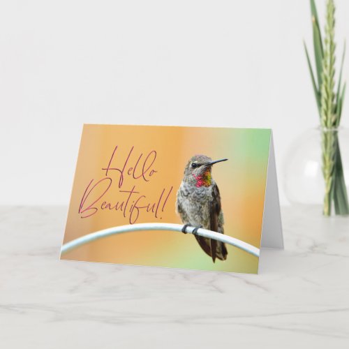 Pink Annas Hummingbird Photo Hello Beautiful Card