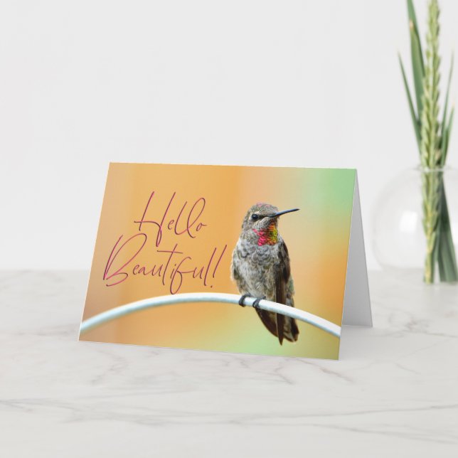 Pink Anna's Hummingbird Photo Hello Beautiful Card (Front)