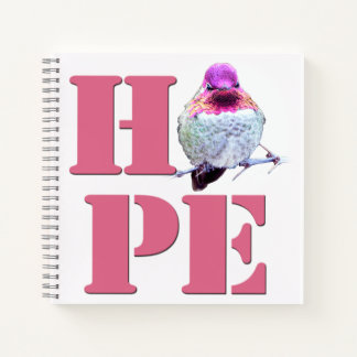Pink Anna's Hummingbird Photo HOPE 8x8 Notebook