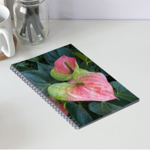 Pink Anthurium Flowers Floral Notebook