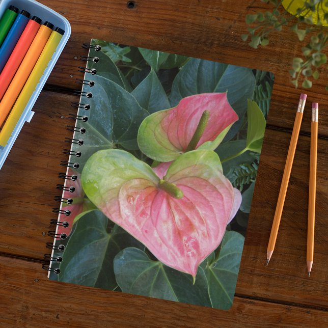 Pink Anthurium Flowers Floral Notebook (In Situ)