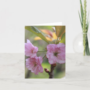 Pink Apple Bloom In Spring Photo for Mom Holiday Card