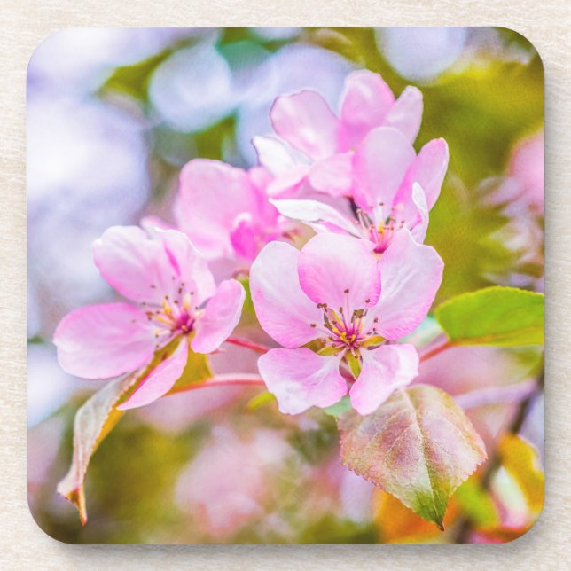 Pink Apple Blossom Drink Coaster (Front)