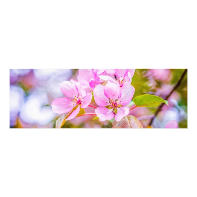 Pink Apple Blossom Photo Print (Front)