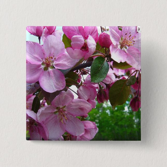Pink Apple Blossoms Pinback Button (Front)