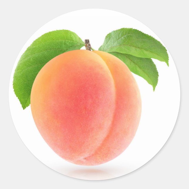 Pink apricot classic round sticker (Front)