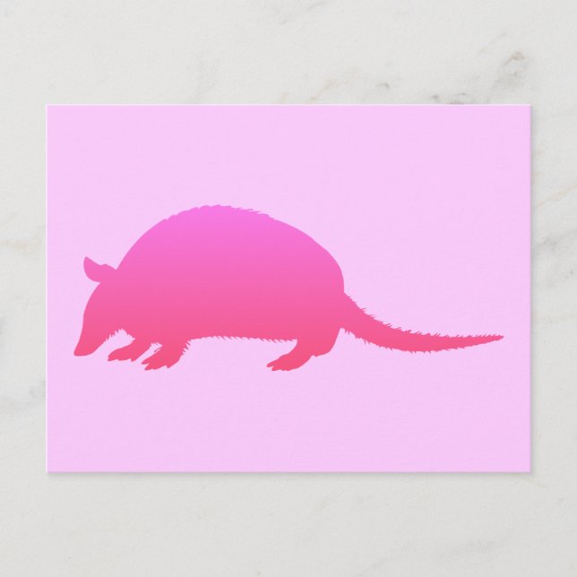 Pink Armadillo Postcard (Front)