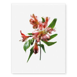Pink Asiatic Lilies Closeup Temporary Tattoos