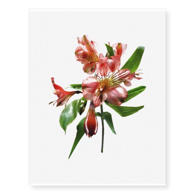 Pink Asiatic Lilies Closeup Temporary Tattoos (Front)