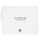 Pink Asiatic Lily (Back Horizontal)