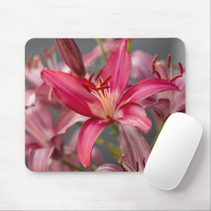 Pink Asiatic Lily, Botanical Flower Photo Mouse Pad