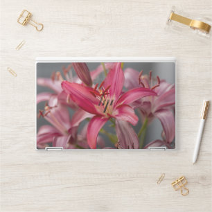 Pink Asiatic Lily, Close-Up Bloom Photography HP Laptop Skin
