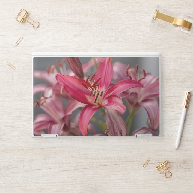 Pink Asiatic Lily, Close-Up Bloom Photography HP Laptop Skin (Desk)