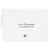 Pink Asiatic Lily Closeup (Back Horizontal)