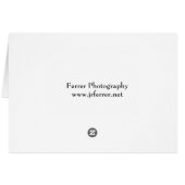Pink Asiatic Lily Closeup Cards (Back Horizontal)