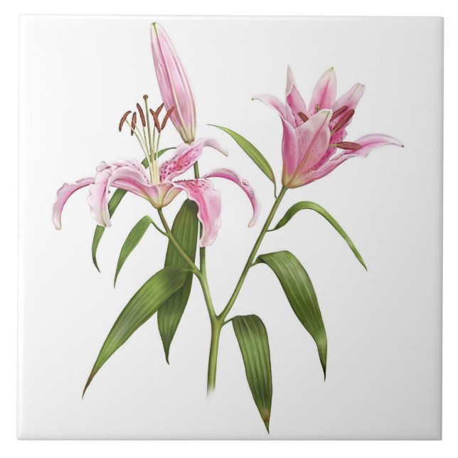 Pink Asiatic Stargazer Lily Botanical Art Ceramic Tile (Front)