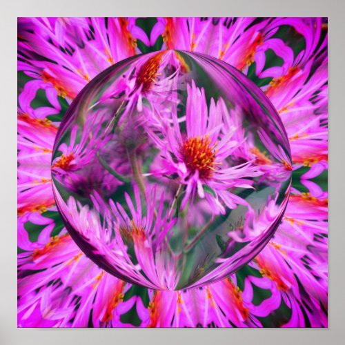 Pink Aster Flower Energies Abstract Art Poster