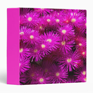 Pink Aster Flowers 3 Ring Binder
