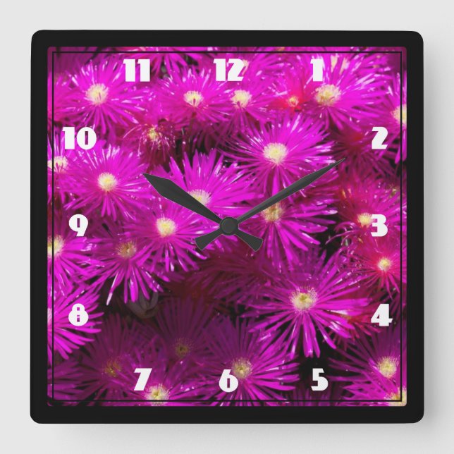 Pink Aster Flowers Square Wall Clock (Front)
