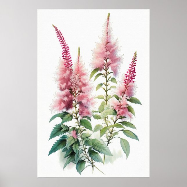Pink Astilbe Flower Art Print Poster (Front)