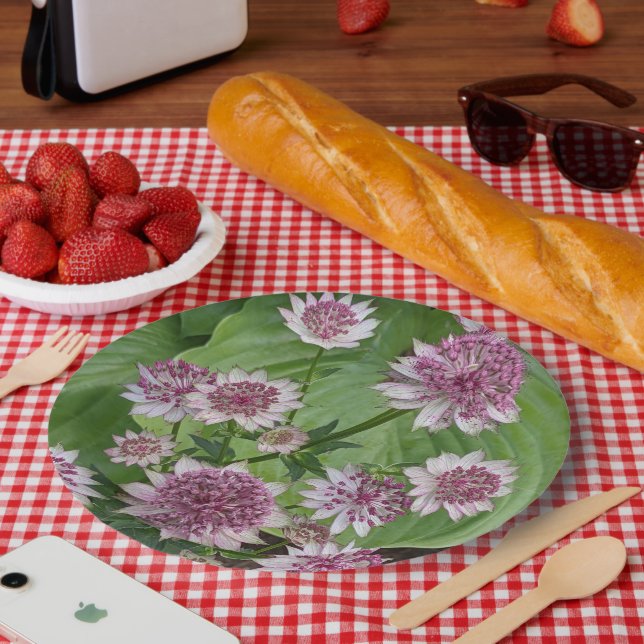Pink Astrantia Blooms Floral Paper Plates (Picnic)