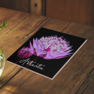 Pink Astrantia Flower on Black Background Floral Ceramic Tile