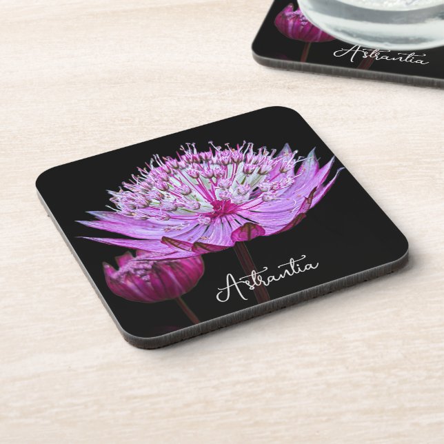 Pink Astrantia Flower on Black Floral Beverage Coaster (Left Side)