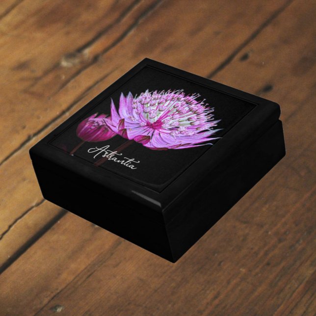 Pink Astrantia Flower on Black Floral Gift Box (In Situ)