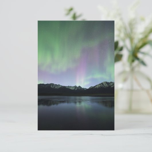 Pink Aurora (Standing Front)