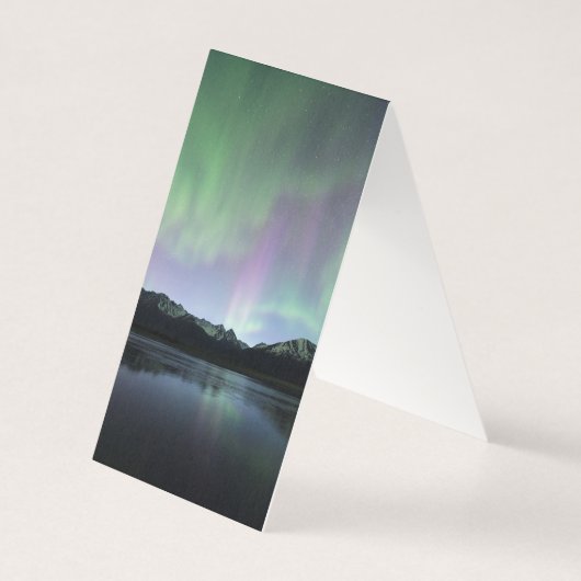 Pink Aurora (Back)