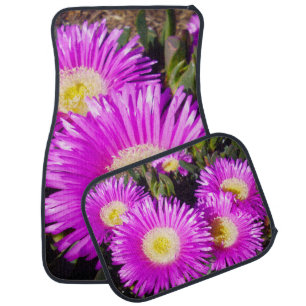 Pink Aussie Rambler Pigface Flower, Car Mats
