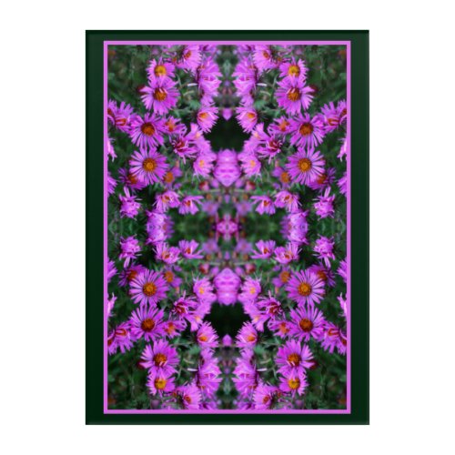 Pink Autumn Aster Flowers Orton Abstract Acrylic Print