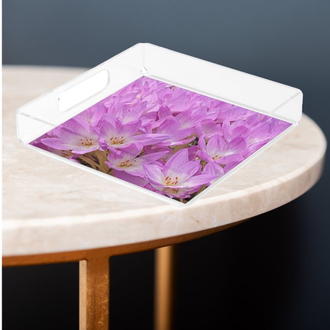 Pink Autumn Crocus Blooms Floral Acrylic Tray (In Situ)
