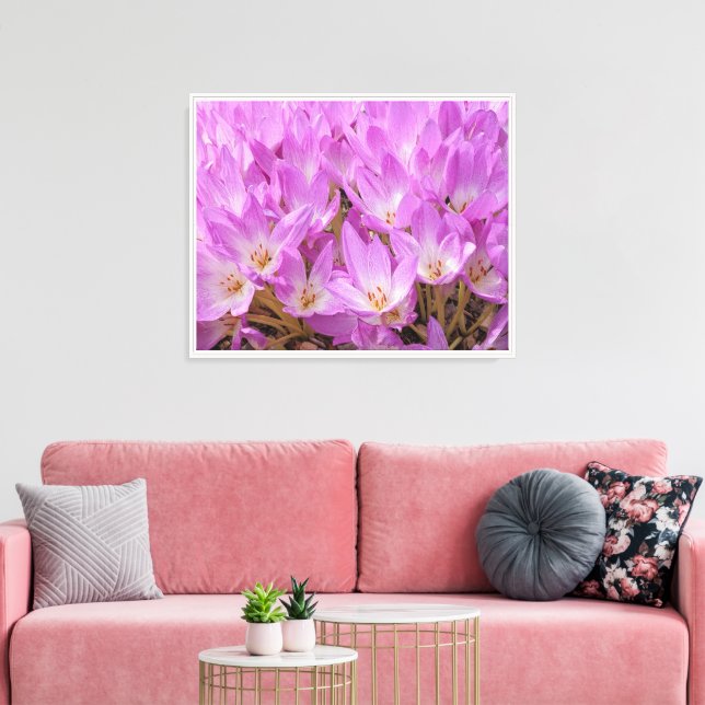 Pink Autumn Crocus Blooms Floral Canvas Print (Insitu(LivingRoom))