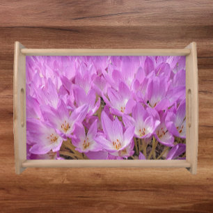 Pink Autumn Crocus Blooms Floral Serving Tray